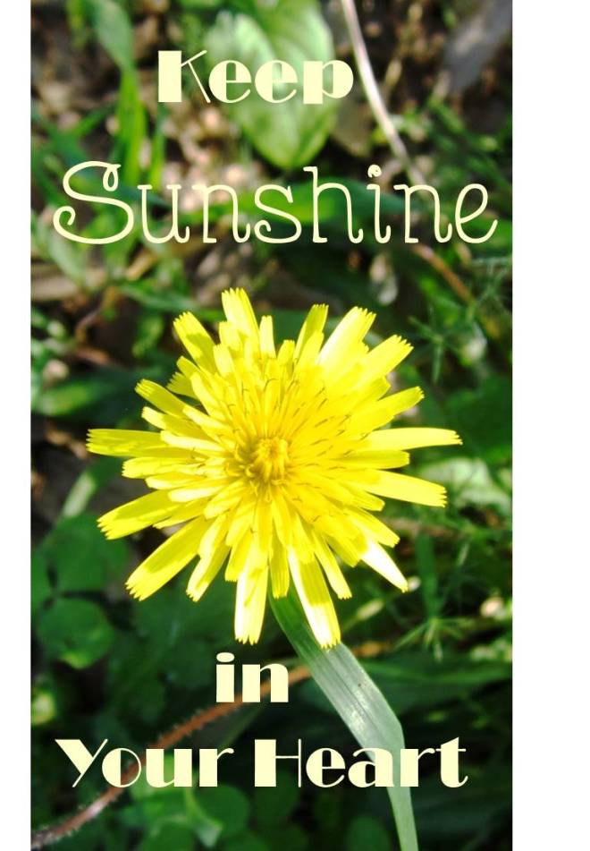 sunshine flower